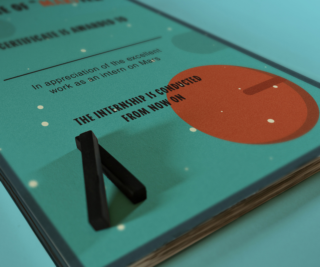 project marster picture4