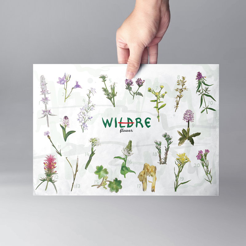 wildre picture2